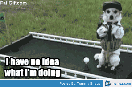 Dog Playing Golf Funny Meme Gif Picture For Whatsapp