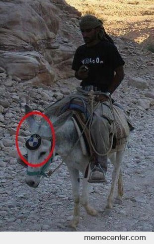 Donkey With BMW Logo Funny Picture For Whatsapp