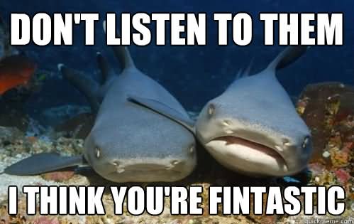 Don’t Listen To Them I Think You Are Fintastic Funny Shark Meme Image