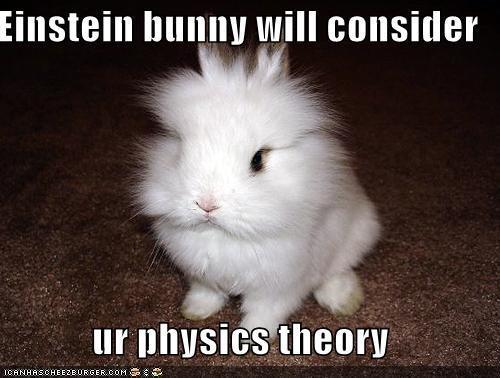 Einstein Bunny Will Consider Ur Physics Theory Funny Rabbit Meme Picture