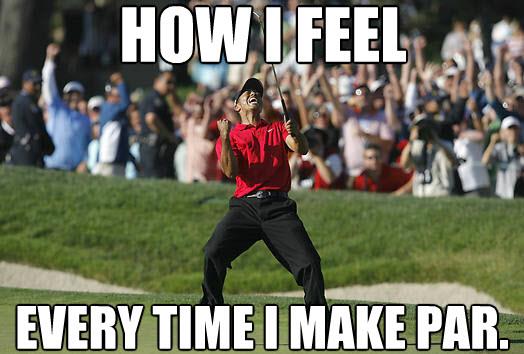Every Time I Make Par Funny Golf Meme Image