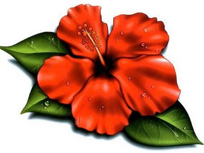 Fantastic Hawaiian Flower Tattoo Design