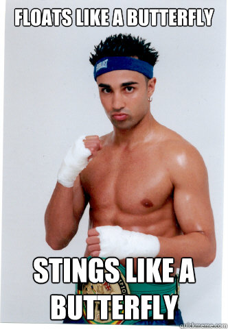 Floats Like A Butterfly Stings Like A Butterfly Funny Boxing Meme Picture