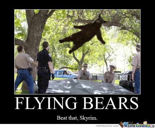 Flying Bears Beat That Skyrim Funny Meme Image