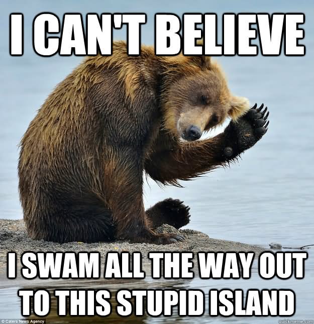 Funny Bear Meme I Can't Believe Picture