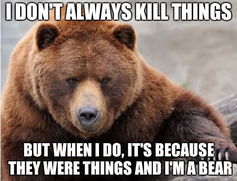 Funny Bear Meme I Don't Always Kill Things Image