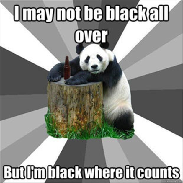 Funny Bear Meme I May Not Black All Over Picture