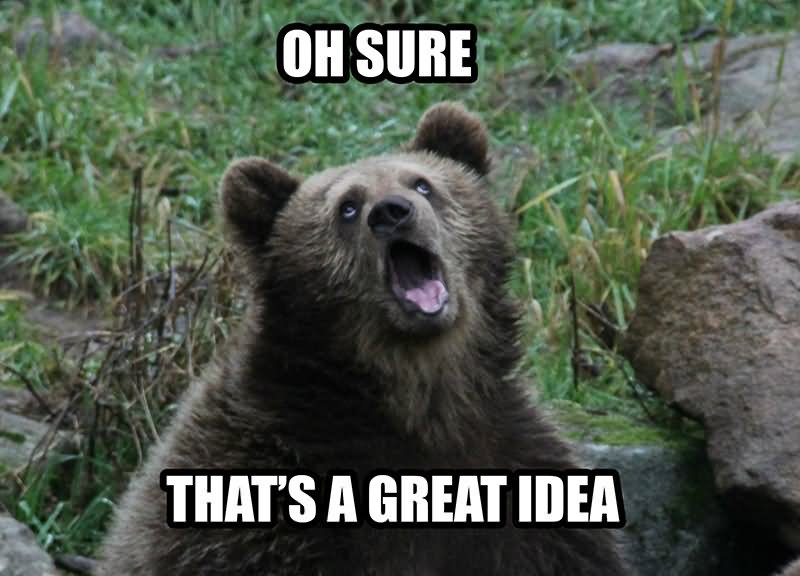 Funny Bear Meme Oh Sure That's A Great Idea Image
