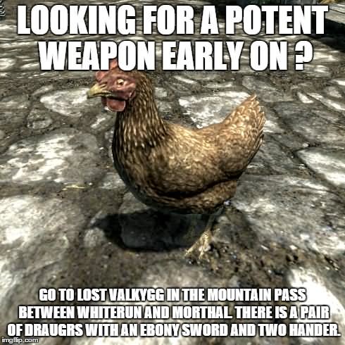 Funny Chicken Meme Looking For A Potent Weapon Early On Image