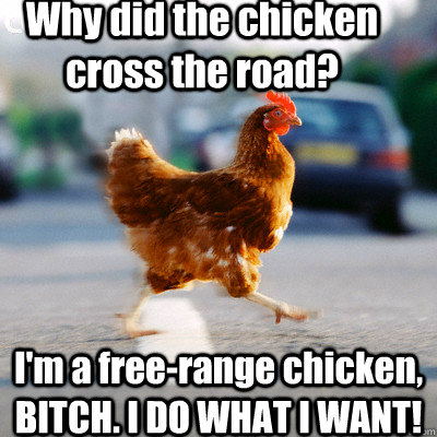 Funny Chicken Meme Why Did The Chicken Cross The Road