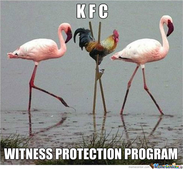 Funny Chicken Meme Witness Protection Program Image