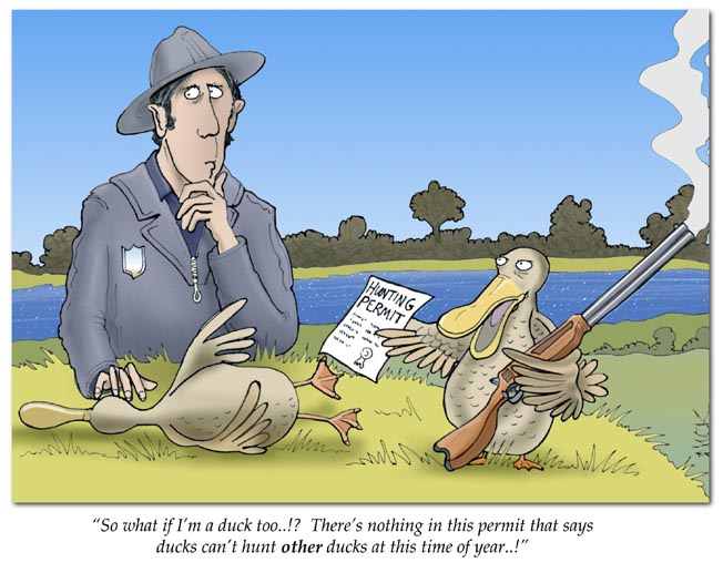 Funny Duck Hunting Cartoon Image