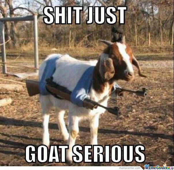 Funny Goat Meme Shit Just Goat Serious Image