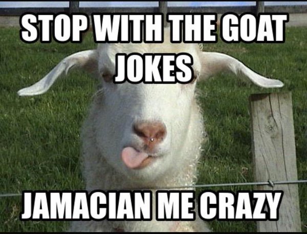 Funny Goat Meme Stop With Goat Jokes Picture