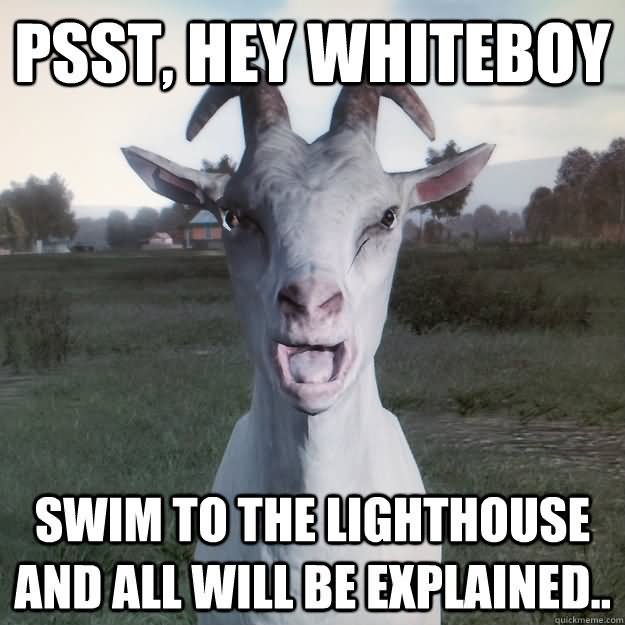 Funny Goat Meme Swim To The Lighthouse And All Will Be Explained