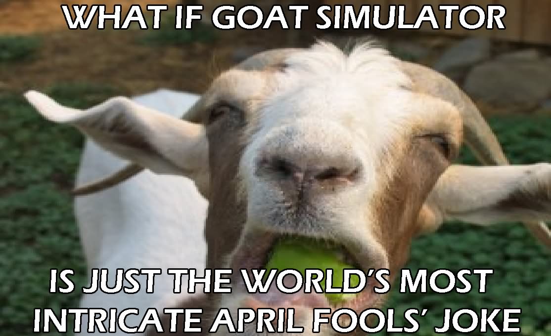 Funny Goat Meme what If Goat Simulator