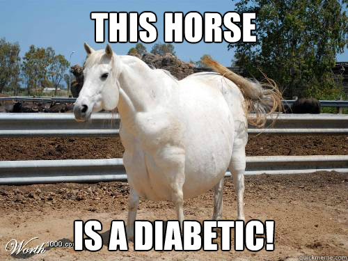 Funny Horse Meme This Horse Is A Diabetic