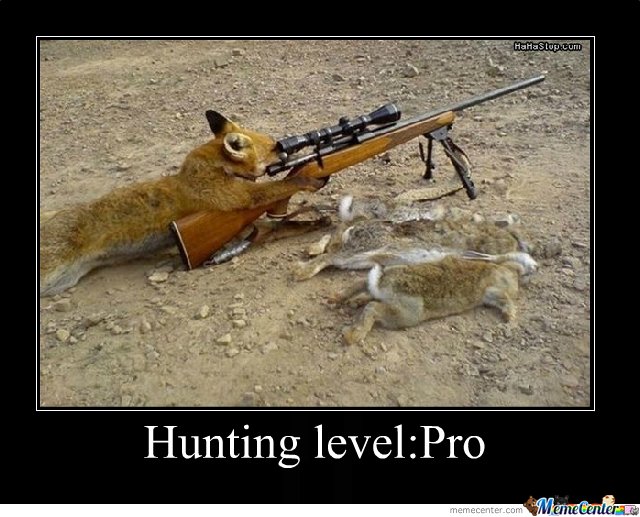 Funny Hunting Level:Pro Meme Poster
