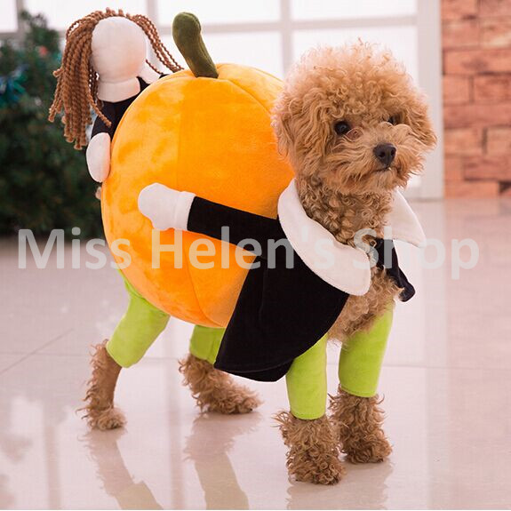 Funny Pumpkin Costume For Little Pet