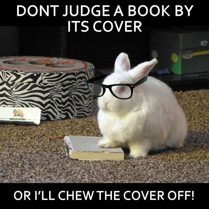 Funny Rabbit Meme Dont Judge A Book By Its Cover Image