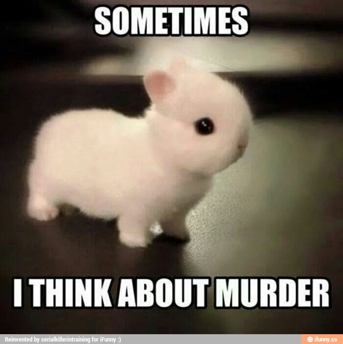 Funny Rabbit Sometimes I Think About Murder Meme Picture