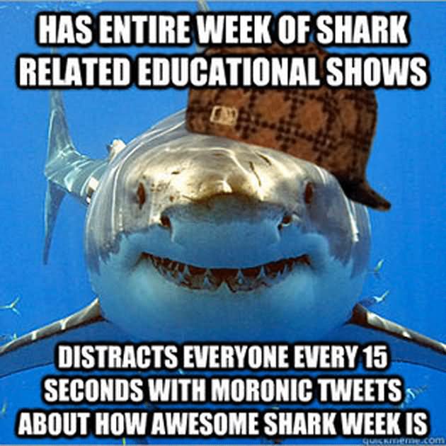 Funny Shark Meme Has Entire week Of Shark Related Educational Shows Image