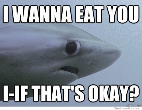 Funny Shark Meme I Wanna Eat You Image