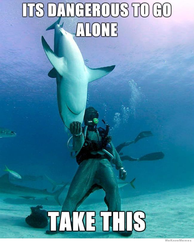 Funny Shark Meme Its Dangerous To Go Alone Image