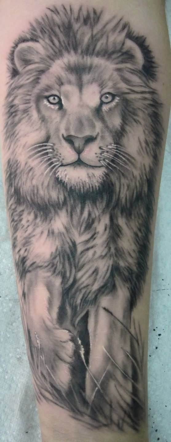 Grey Ink Leo Tattoo Design For Sleeve By Stilbruch