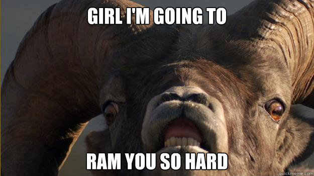 Girl I Am Going To Ram You So Hard Funny Goat Meme Photo