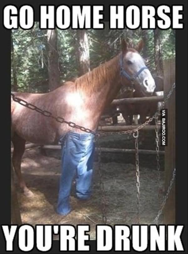 Go Home Horse You Are Drunk Funny Horse Meme Picture