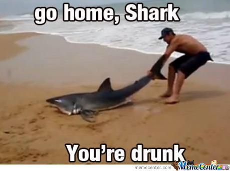 Go Home Shark You Are Drunk Funny Meme Image