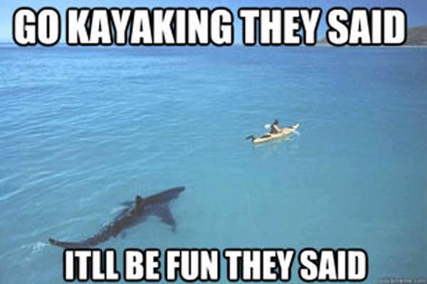 Go Kayaking They Said It Will Be Fun They Said Funny Shark Meme Image