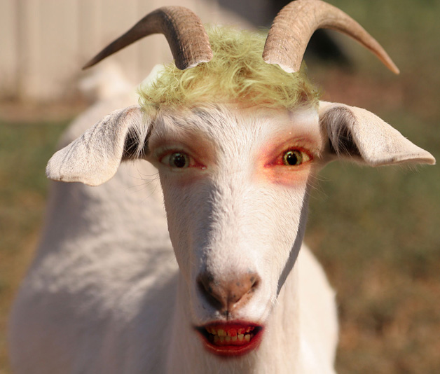 Goat-With-Makeup-Face-Funny-Photo.jpg