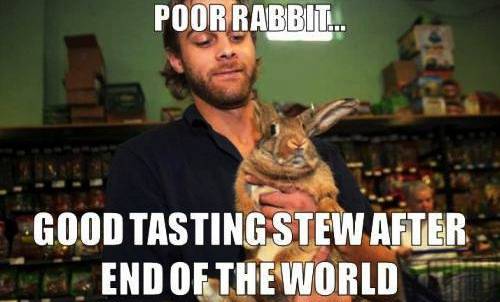 Good Tasting Stew After End Of The World Funny Rabbit Meme Image
