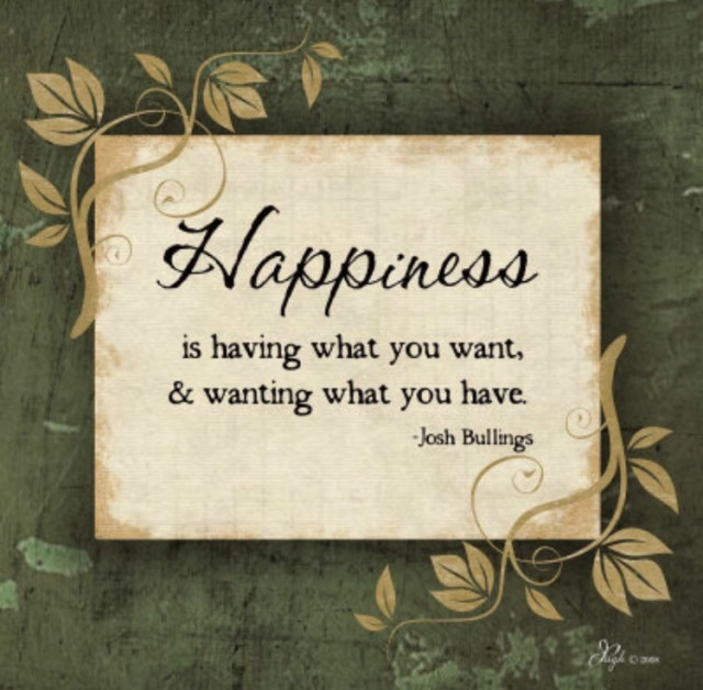 Happiness Is Having What You Want & wanting what you have.  -  Josh Bullings