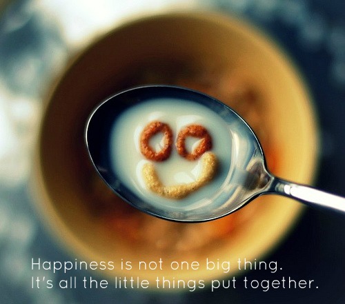 Happiness is not one big thing.It's all the little things put together.   -  Victoria Madison