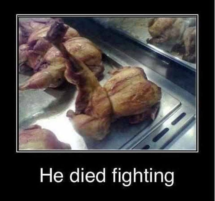 He Died Fighting Funny Chicken Meme Picture