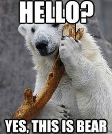 Hello Yes This Is Bear Funny Meme Picture