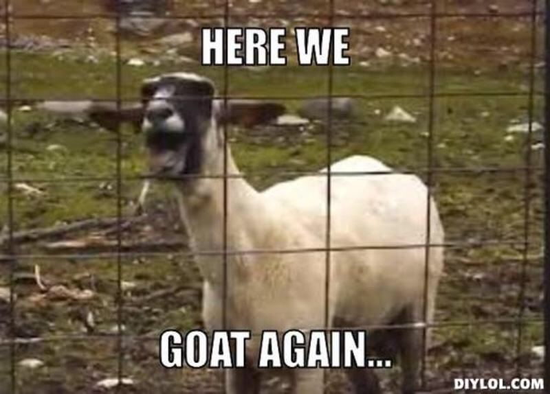 Here We Goat Again Funny Goat Meme Picture