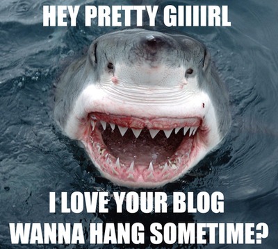 Hey Pretty Girl I Love Your Blog Wanna Hang Sometime Funny Shark Meme Image