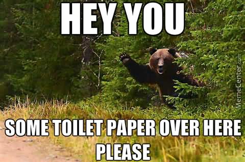 Hey You Some Toilet Paper Over Here Please Funny Bear Meme Picture For Whatsapp