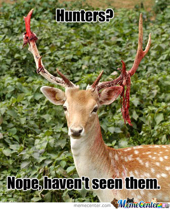 Hunters Nope Haven't Seen Them Funny Hunting Meme Image