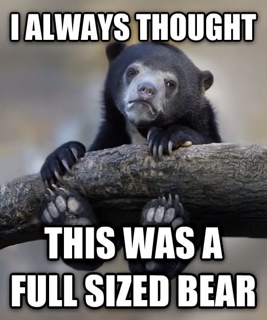 I Always Thought This Was A Full Sized Bear Funny Meme Picture