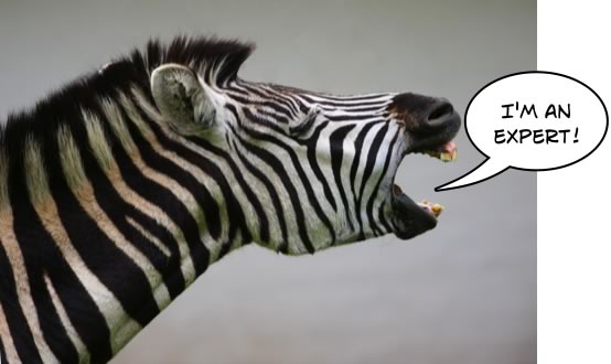 I Am An Expert Funny Zebra Face Picture