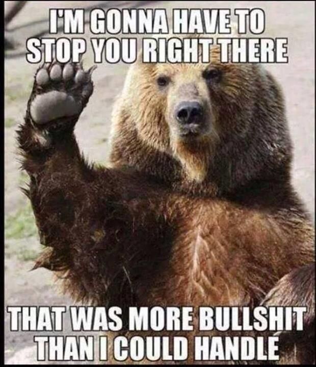 I Am Gonna Have To Stop You Right There Funny Bear Meme Image