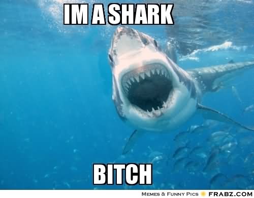 I Am Shark Bitch Funny Meme Image For Facebook