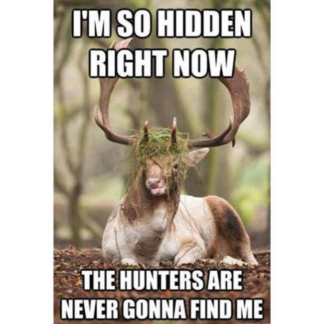 I Am So Hidden Right Now Funny Hunting Meme Image