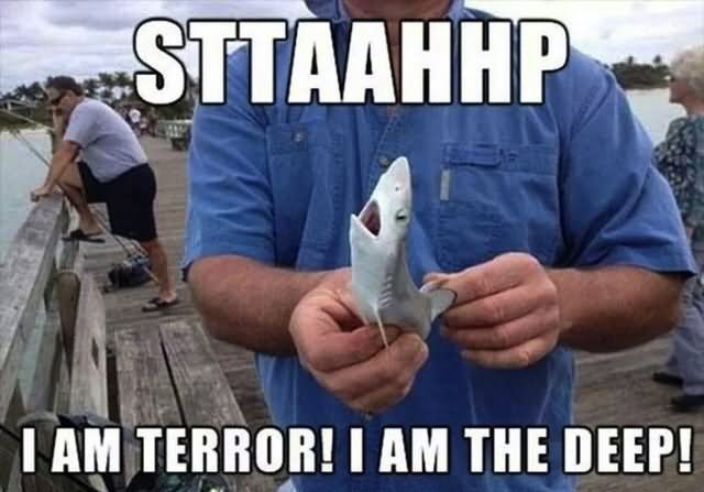 I Am Terror I Am The Deep Funny Shark Meme Image