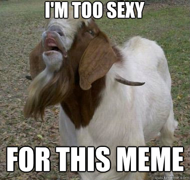 I Am Too Sexy For This Meme Funny Picture